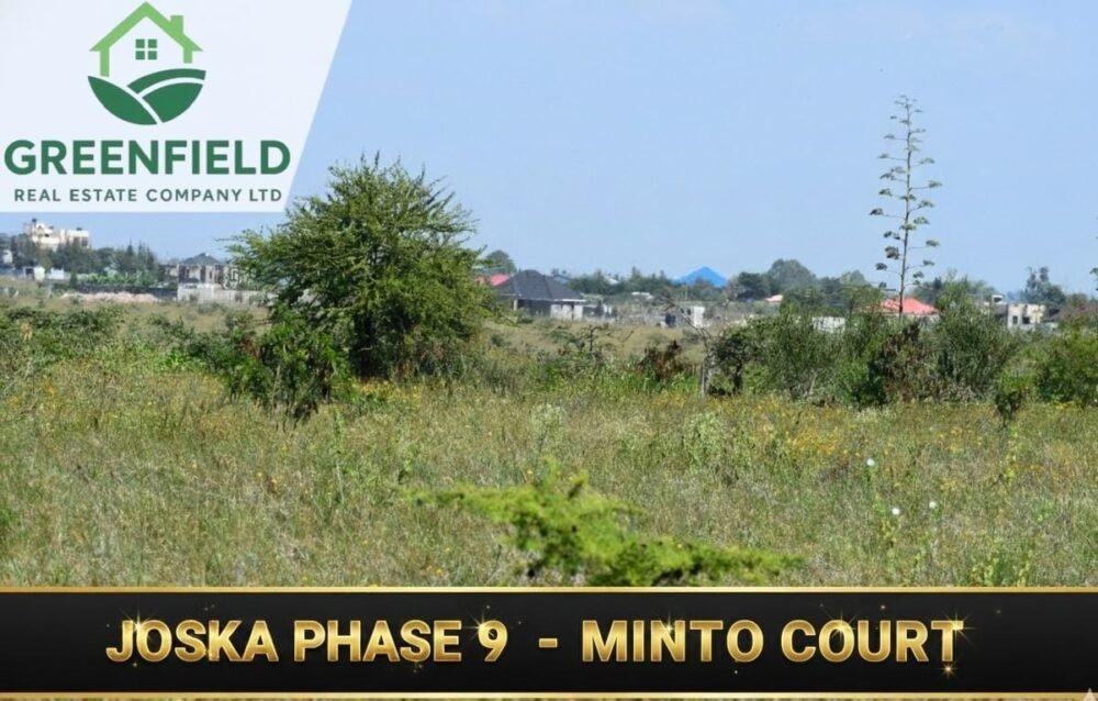 IMG-20251210-WA0055(1)