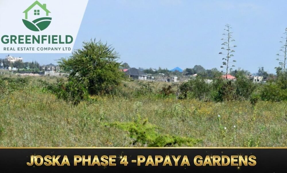 IMG-20251210-WA0057(1)