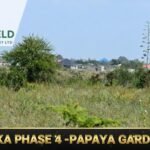 IMG-20251210-WA0057(1)